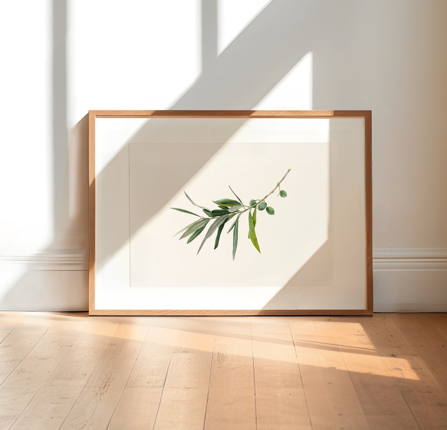"Olive Branch" Limited Edition Giclée Fine Art Print