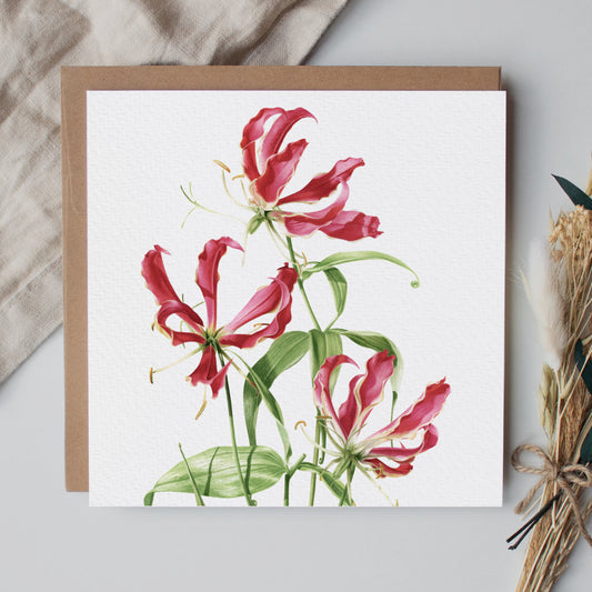 Flame Lily Greeting Card