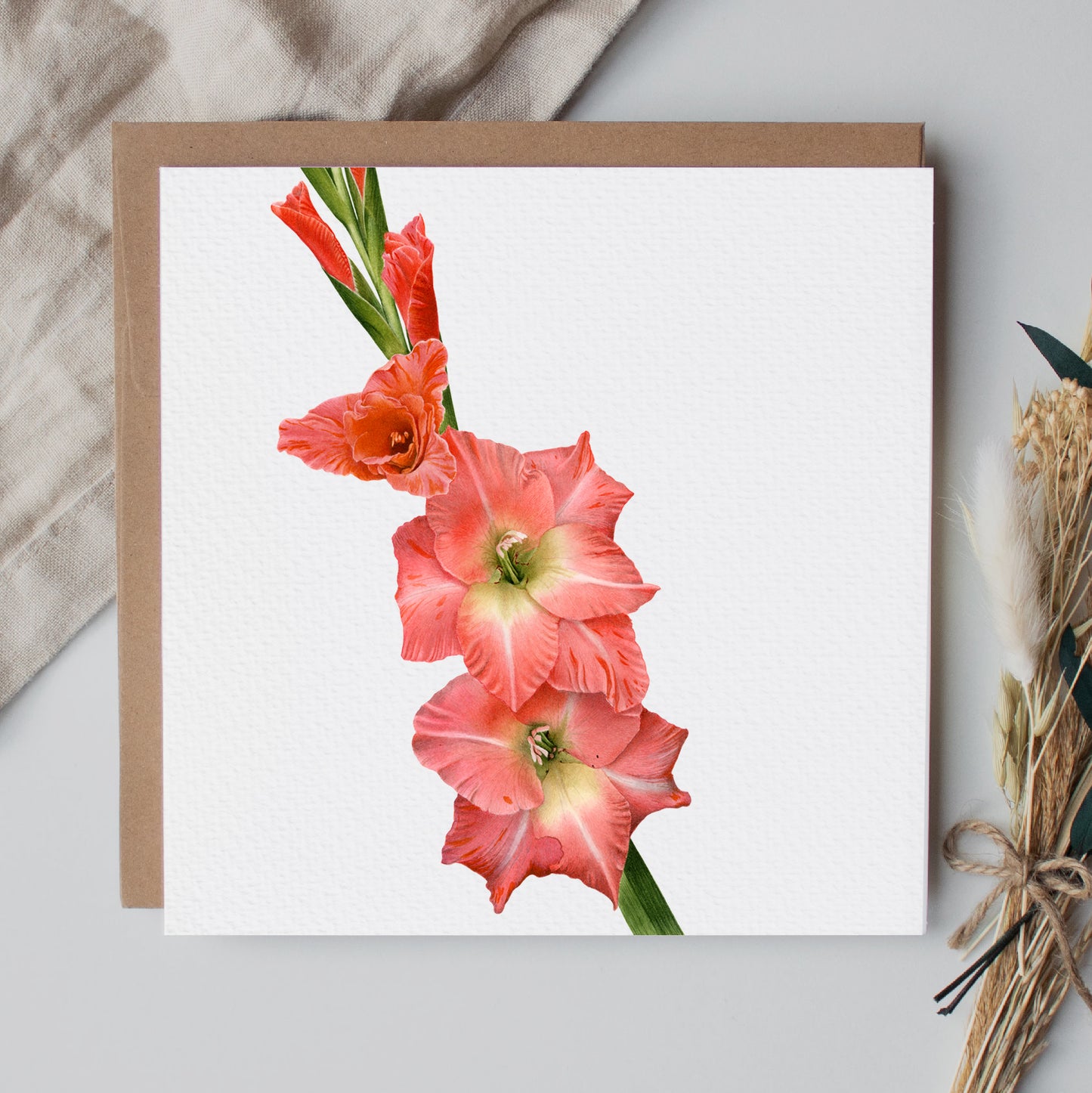 Gladioli Greeting Card
