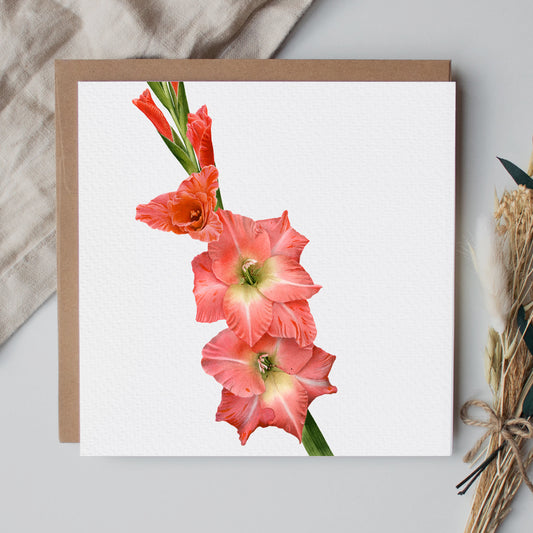 Gladioli Greeting Card