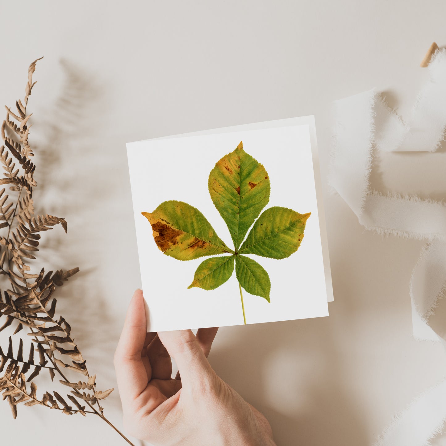 Horse Chestnut Leaf Greeting Card