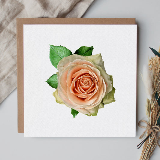 Rose Greeting Card