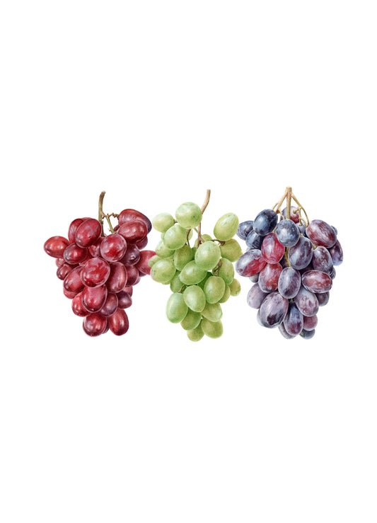 "The Trio of Grapes" Limited Edition  Giclée Fine Art Print