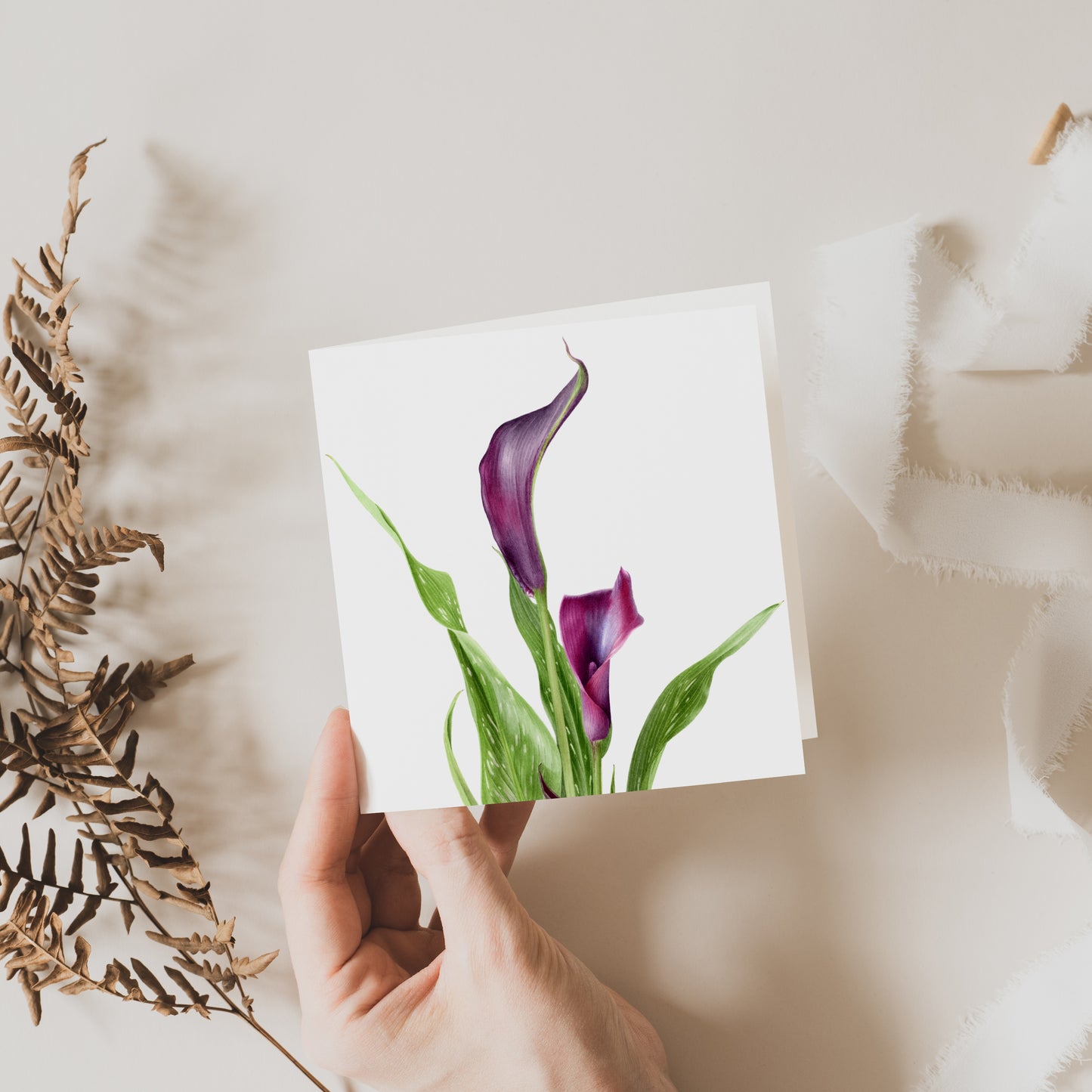 Calla Lily Greeting Card