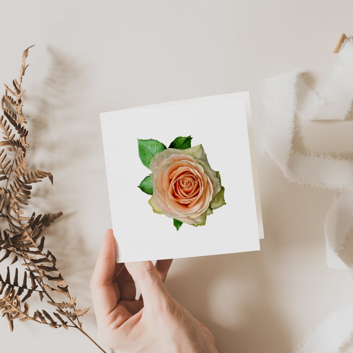 Rose Greeting Card