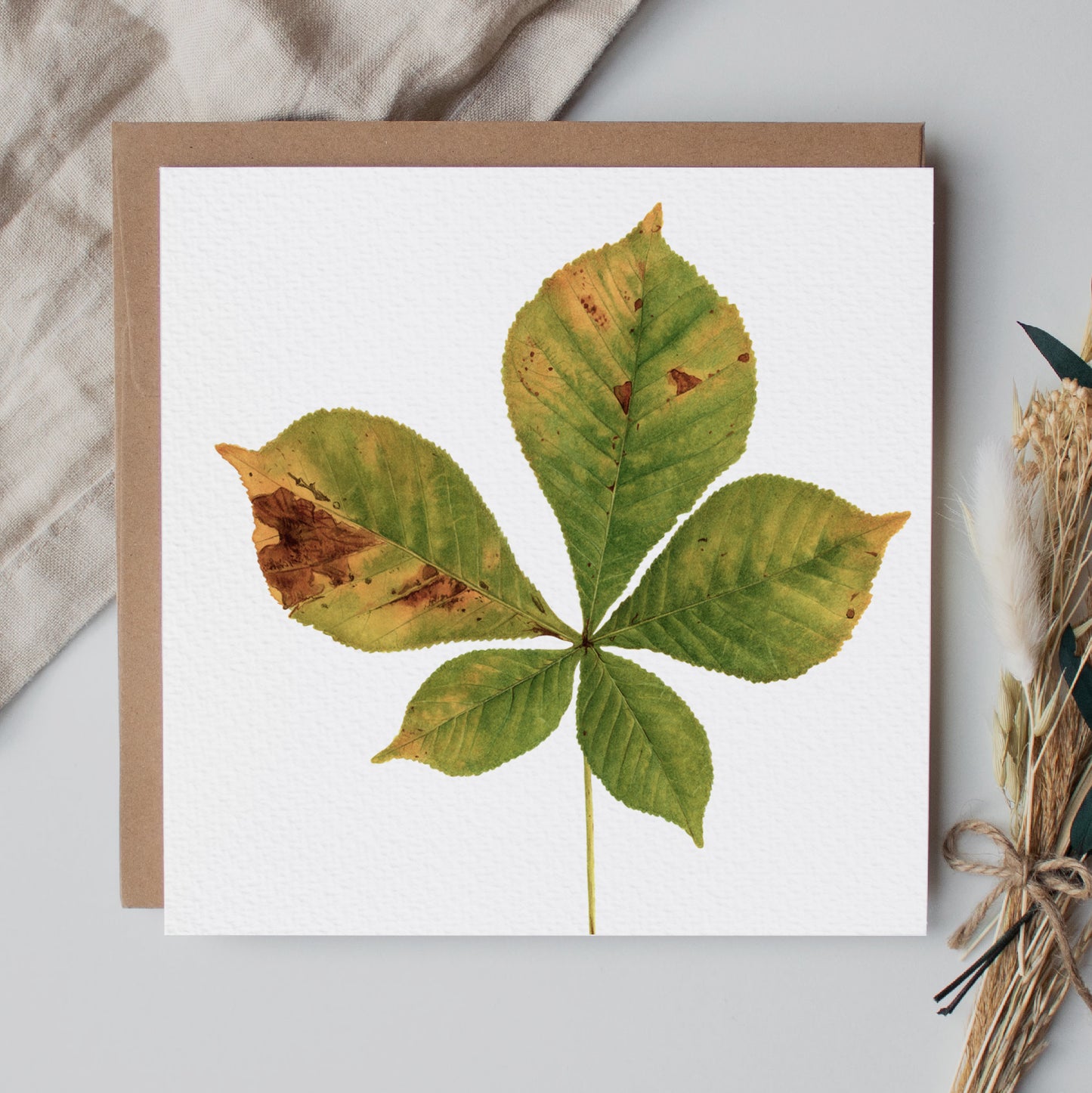 Horse Chestnut Leaf Greeting Card