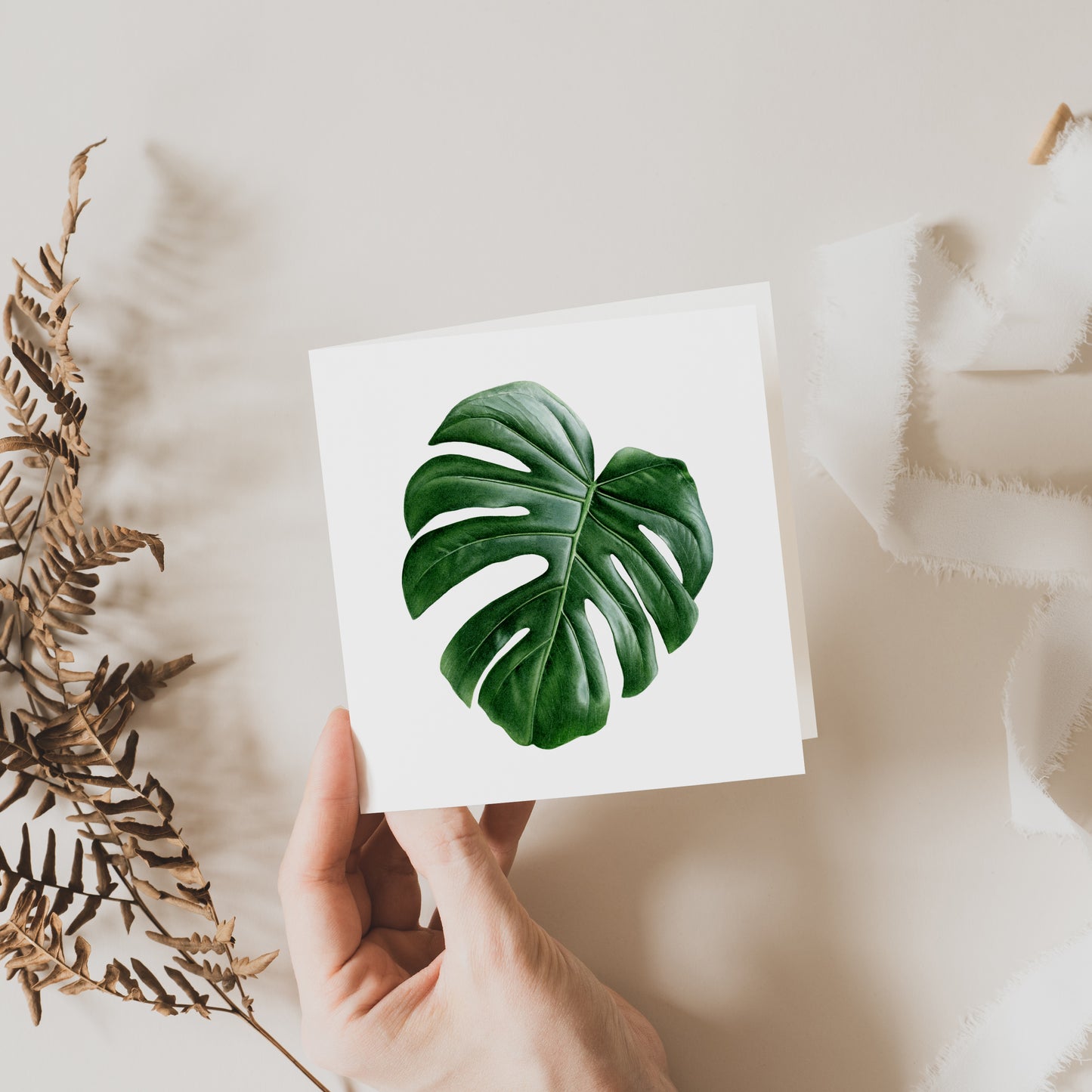 Monstera Greeting Card