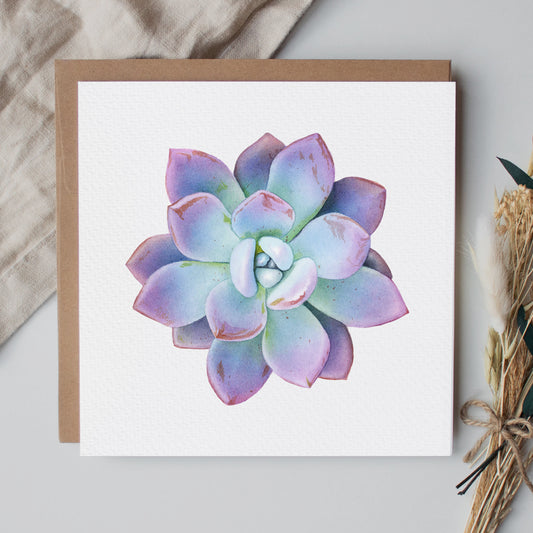 Succulent Plant Greeting Card