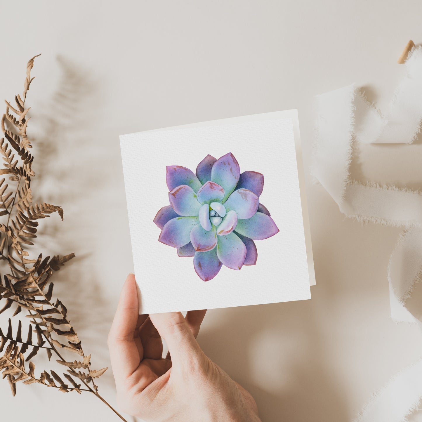 Succulent Plant Greeting Card