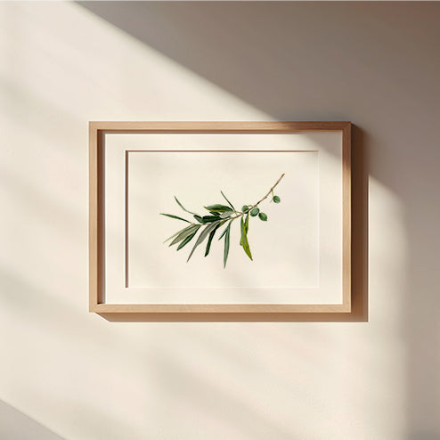"Olive Branch" Limited Edition Giclée Fine Art Print