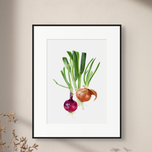 "Onions" Limited Edition Giclée Fine Art Print