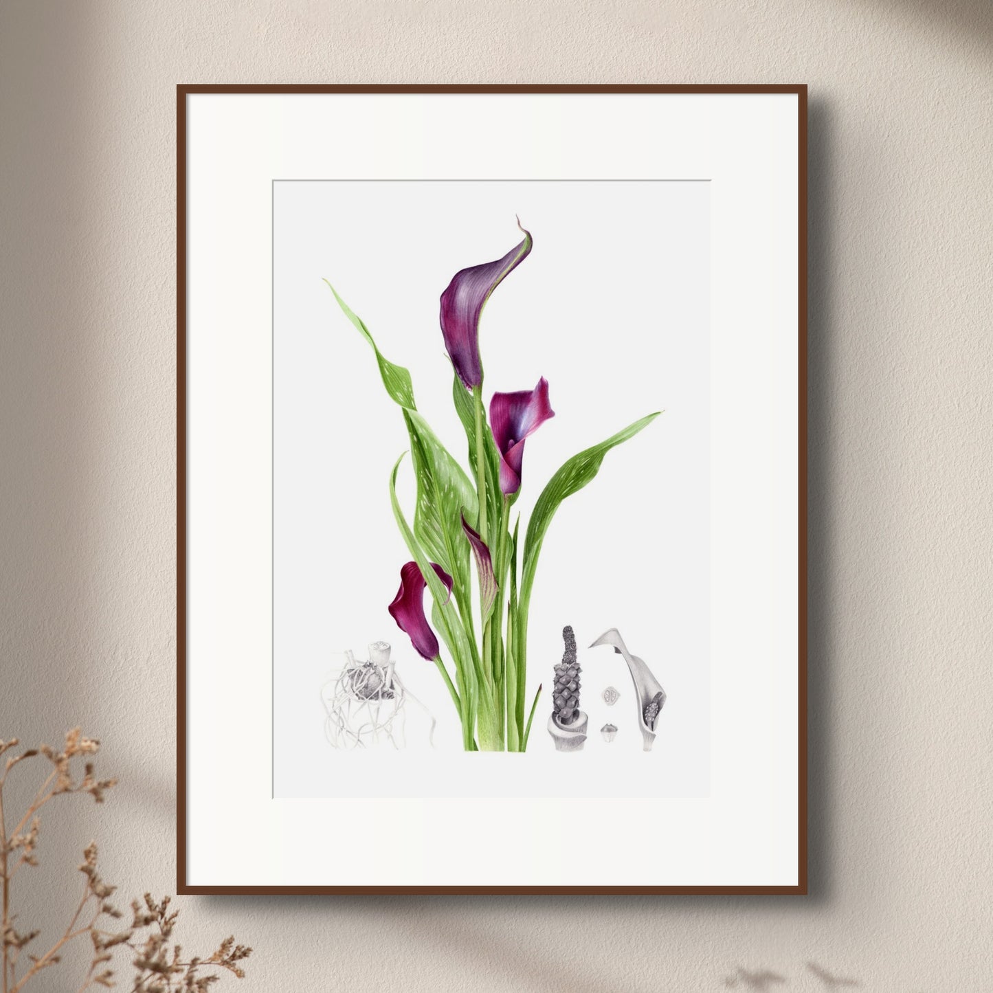 "Black Lily" Limited Edition Giclée Fine Art Print